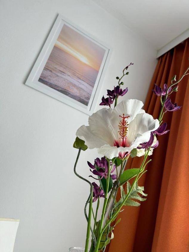 Apartment Harmony グラーツ エクステリア 写真